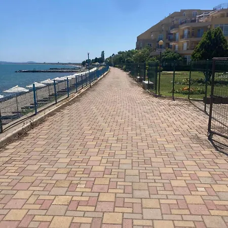 Midia Sp 아헬로이