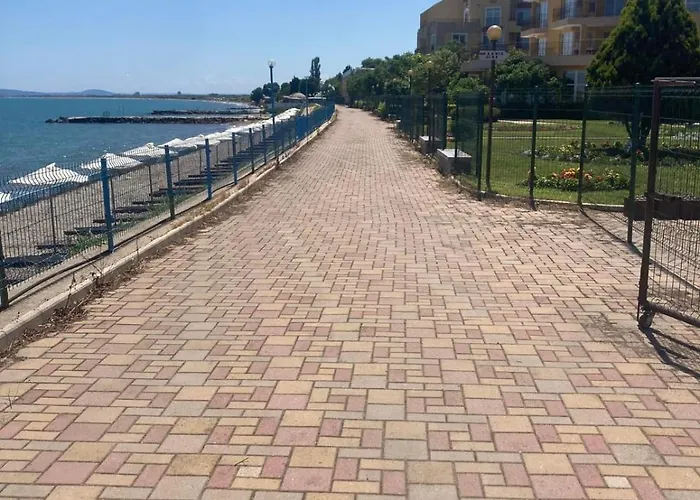 Midia Sp Ахелой